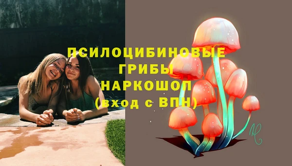 бошки Михайлов