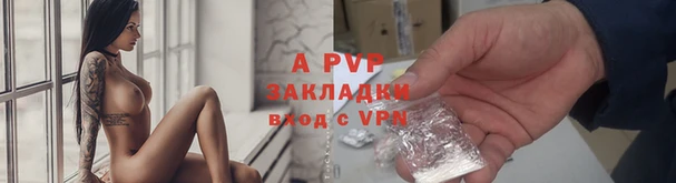 стаф Михайловка