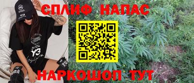 СК Гатчина