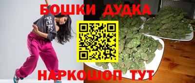 СК Гатчина