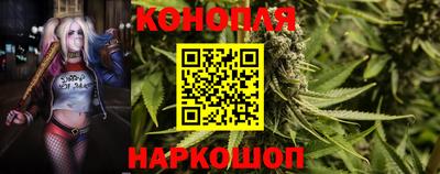 СК Гатчина