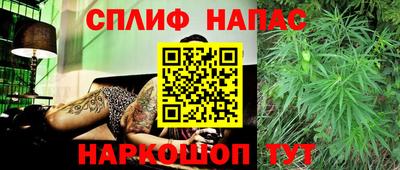 spice Гай