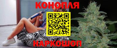 СК Гатчина
