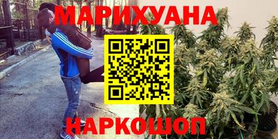 ГАЛЛЮЦИНОГЕННЫЕ ГРИБЫ Абакан