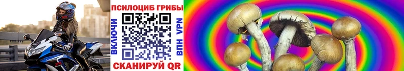 Галлюциногенные грибы GOLDEN TEACHER  Алатырь 