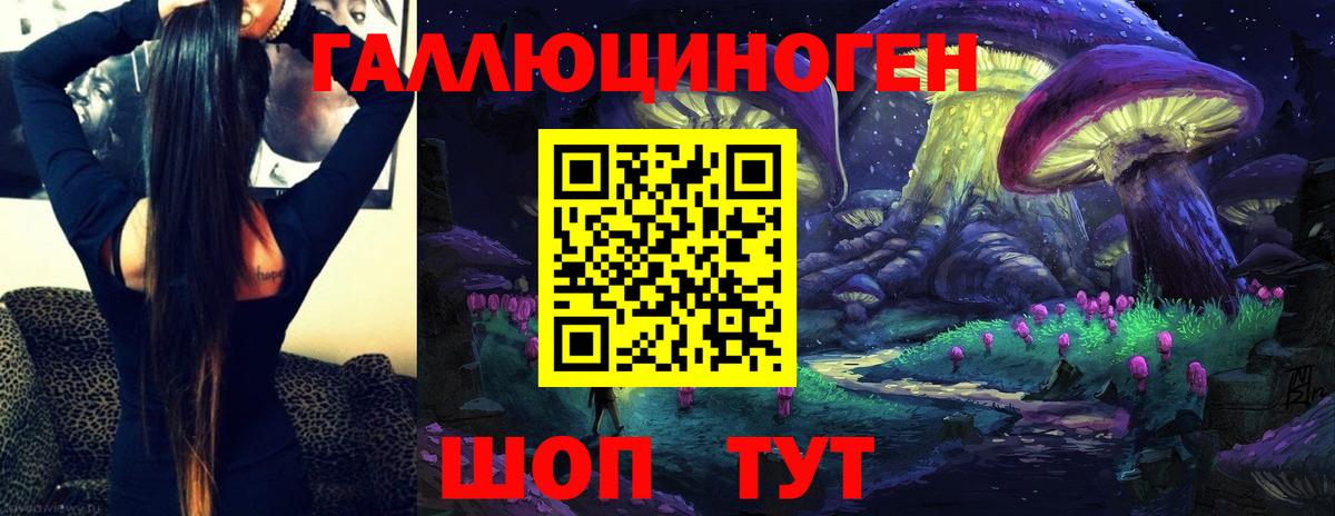 закладка  Галлюциногенные грибы Magic Shrooms  Вход с VPN  Алатырь 