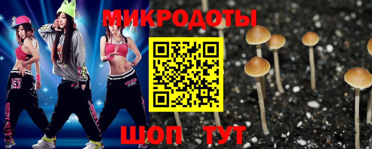 Псилоцибиновые грибы мицелий  купить наркотики сайты  Алатырь  Вход с VPN 