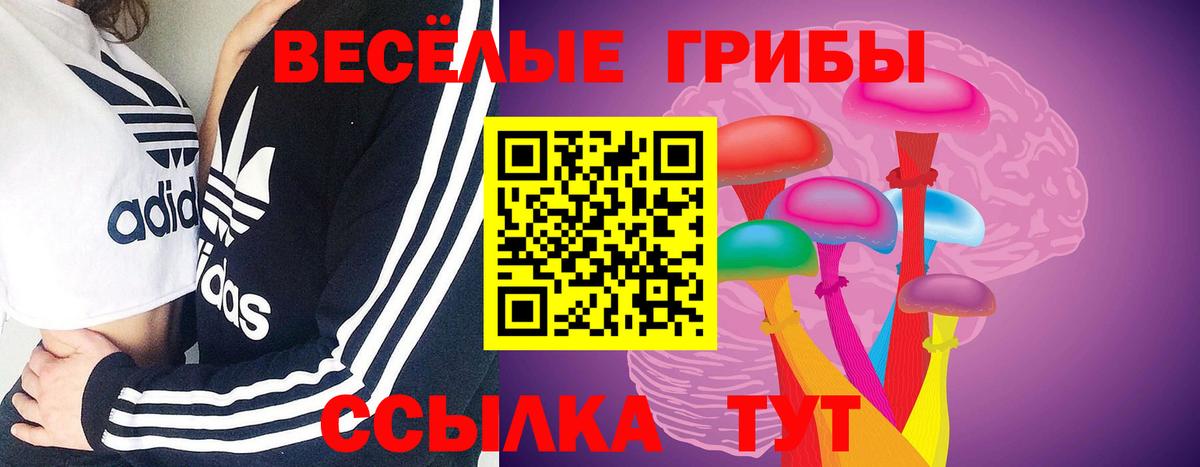 Галлюциногенные грибы Magic Shrooms Алатырь