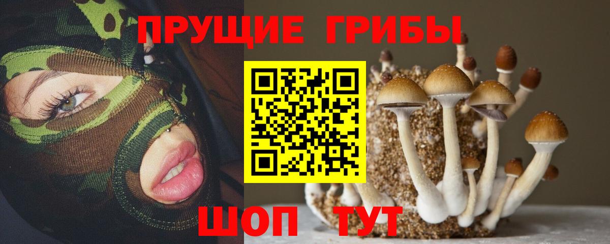 Галлюциногенные грибы Cubensis  Галлюциногенные грибы прущие грибы  Алатырь 